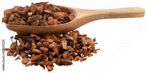 Tableau sur toile Alpinia galanga or Aromatic ginger