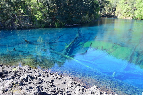 National Park Conguillio in Chile: a paradise of lagoons, araucarias, and volcanoes.

