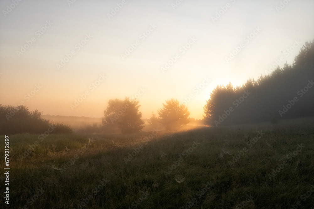 Beautiful summer landscape with the fog lit with a sunrise Beautiful summer landscape with the fog lit with a sunrise