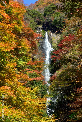 Fototapeta Naklejka Na Ścianę i Meble -  岡山　岡山県　秋　神庭の滝
