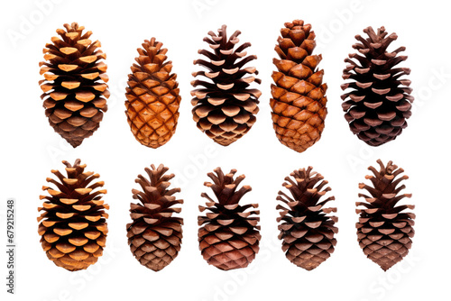 a collection of pine cones isolated on a transparent background, generative ai