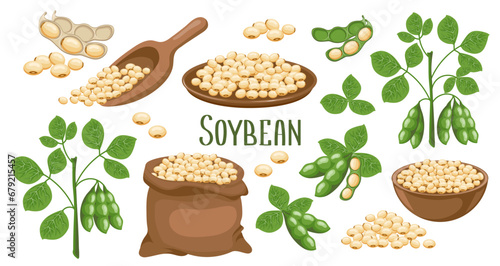 Set of soybeans.  soybeans in pods, in a canvas bag, bowl and wooden spoon. Food, agriculture. Illustration, vector