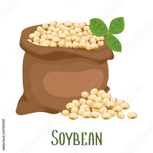 Set of soybeans. Soybean plant, soybeans in a canvas bag. Food, agriculture. Illustration, vector