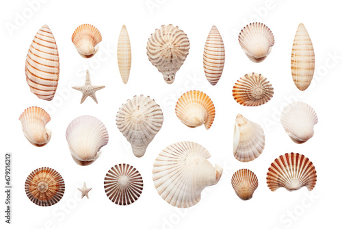 a collection of seashells isolated on a transparent background, generative ai