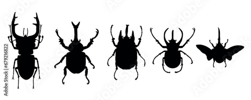  group of rhinoceros beetles