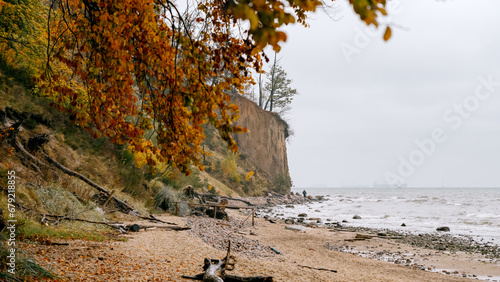 cliff in Gdynia Orłowo in autumn