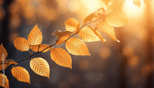 autumn leaves background generating by AI technology