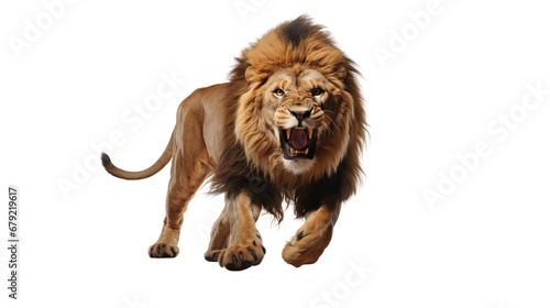 Lion running isolated on transparent