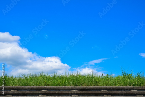 阿賀野川床固め公園（新潟県）