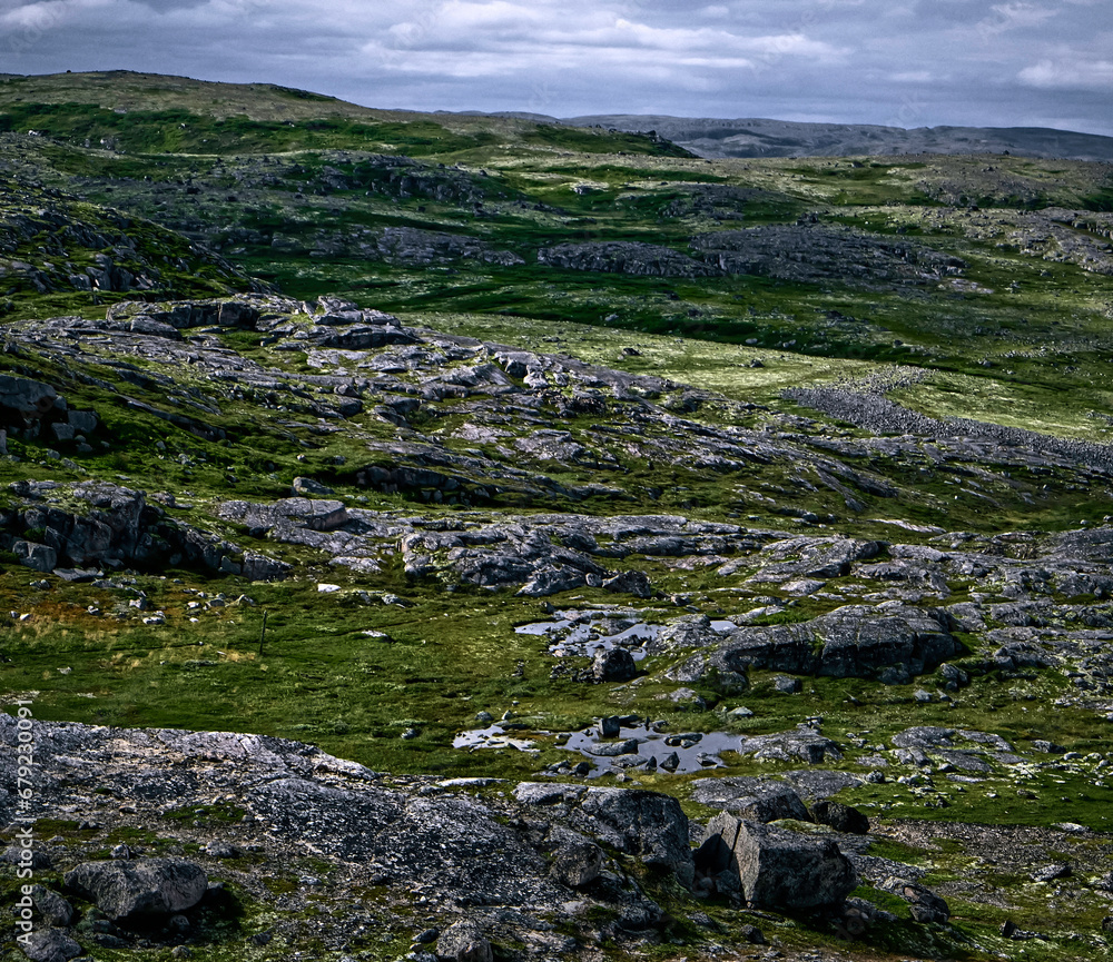 Gloomy landscape of polar tundra. Northern nature of Teriberka, Kola Peninsula