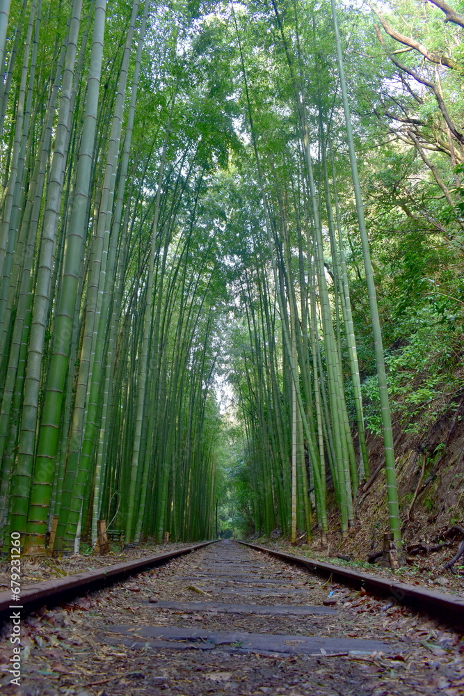 Obraz premium 鳥取 旧国鉄倉吉線廃線跡