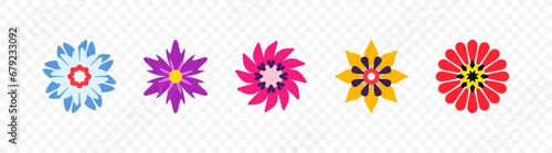 Set of different beautiful vector flowers on transparent background. Colorful spring flowers graphic design