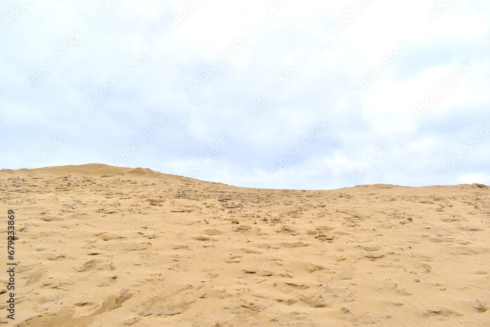 Fototapeta premium 鳥取砂丘 鳥取 砂丘 日本海