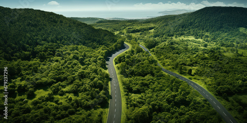 An aerial view reveals a stunning contrast between the road's careful geometry and the wild, organic spread of the tree