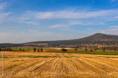 Grain field after harvest in south eastern, Oregon, USA