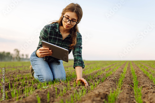 A woman agronomist examines new sprouted shoots in the field using a digital tablet. Woman farmer working with a modern tablet on a green field.