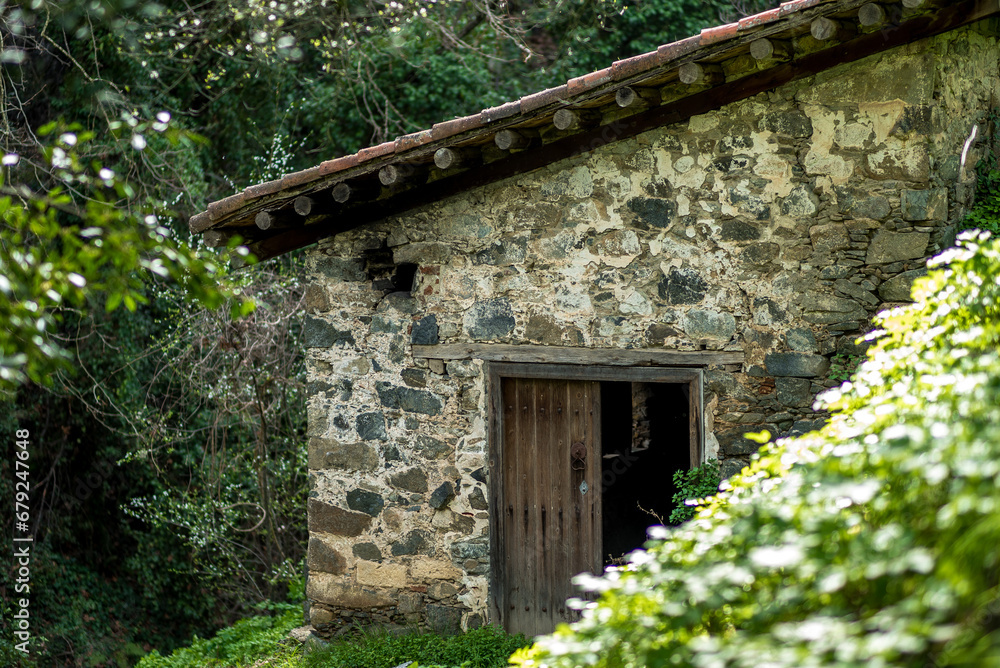 Amidst the verdant embrace of the green forest, an old stone house stands in quiet abandonment, a weathered relic blending with the timeless allure of nature's sanctuary Amidst the verdant embrace of the green forest, an old stone house stands in quiet abandonment, a weathered relic blending with the timeless allure of nature's sanctuary