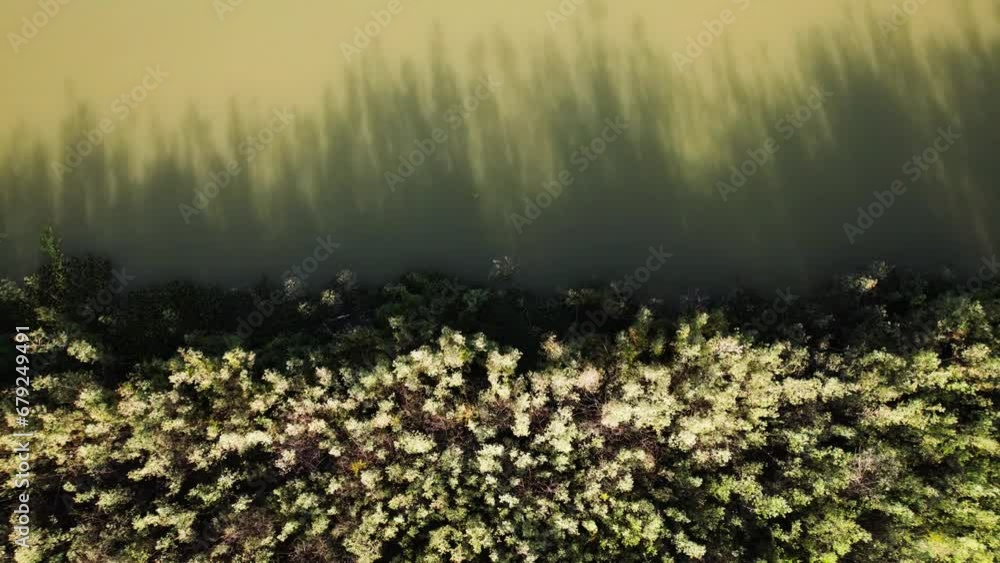 videos en 4k navegando en el rio Bermejo en las provincias de Chaco y