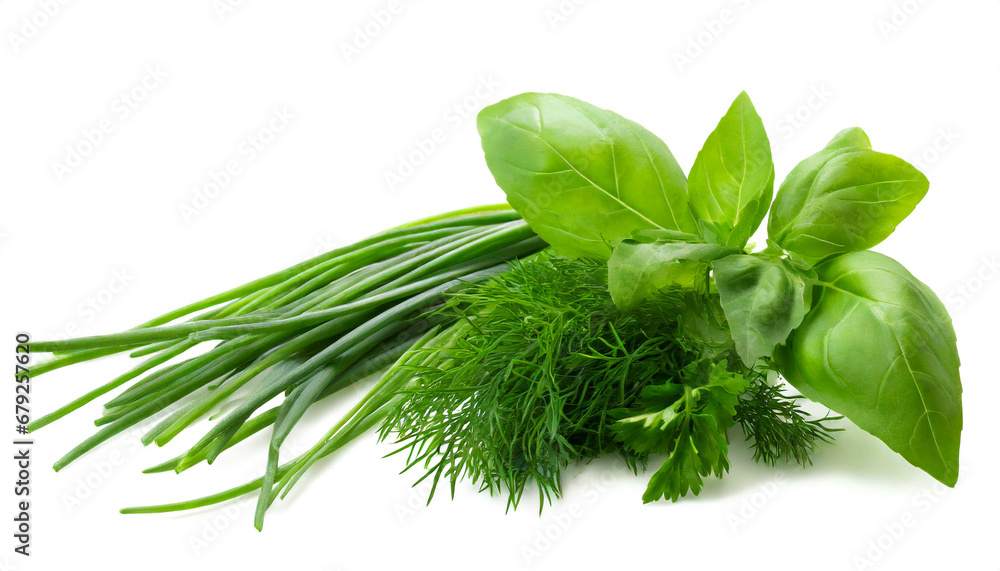 Herbs, basil, chives, parsley, dill isolated on white background - obrazy, fototapety, plakaty 
