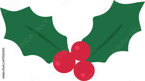  Christmas holly berry icon