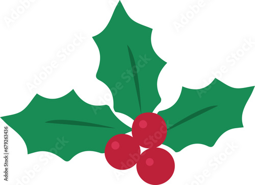  Christmas holly berry icon