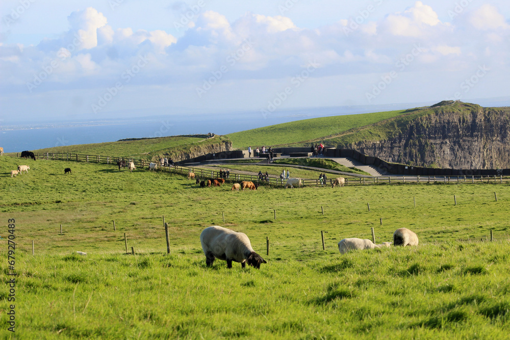 Fototapeta premium Cliff of Moher