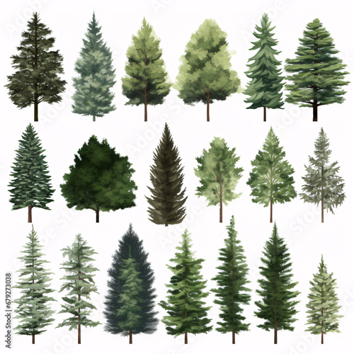 Various evergreen trees on a pristine canvas.