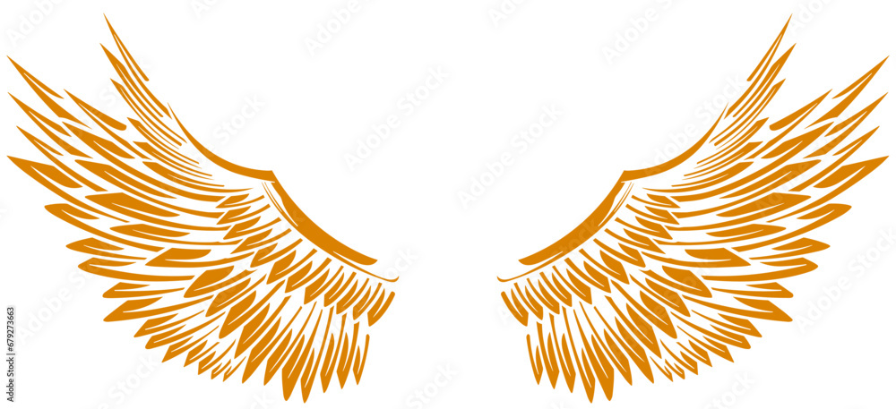 Eagle wings vector design