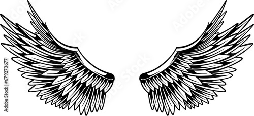 Eagle wings vector design
