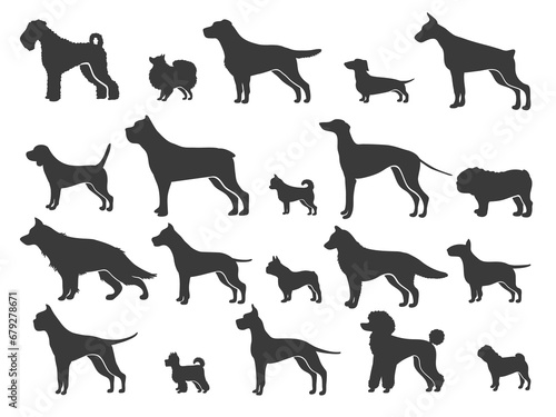 Photography Pointer dog silhouette