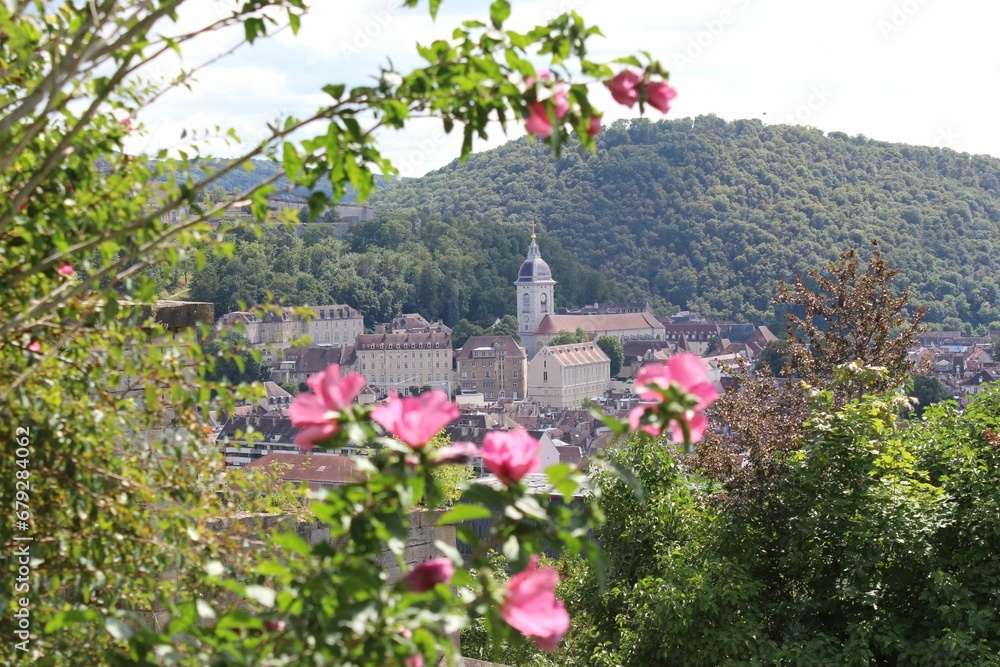 View of Vue of Besancon, France, from Fort Beauregard with flora