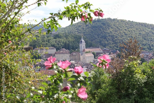 View of Vue of Besancon, France, from Fort Beauregard with flora