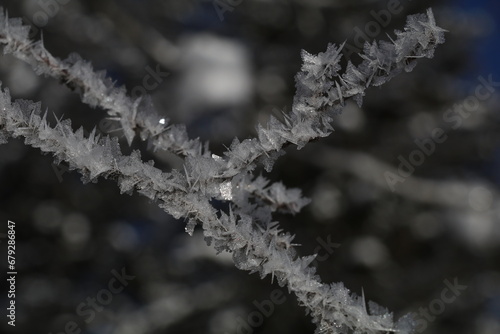 twig covered with large ice crystals and a bokeh grey background