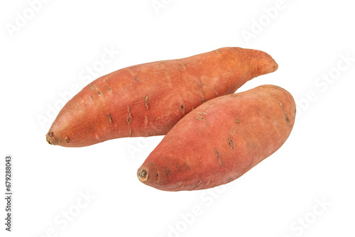 Sweet potato or sweetpotato two whole tubes with red skin isolated transparent png. Vegetable food staple.

