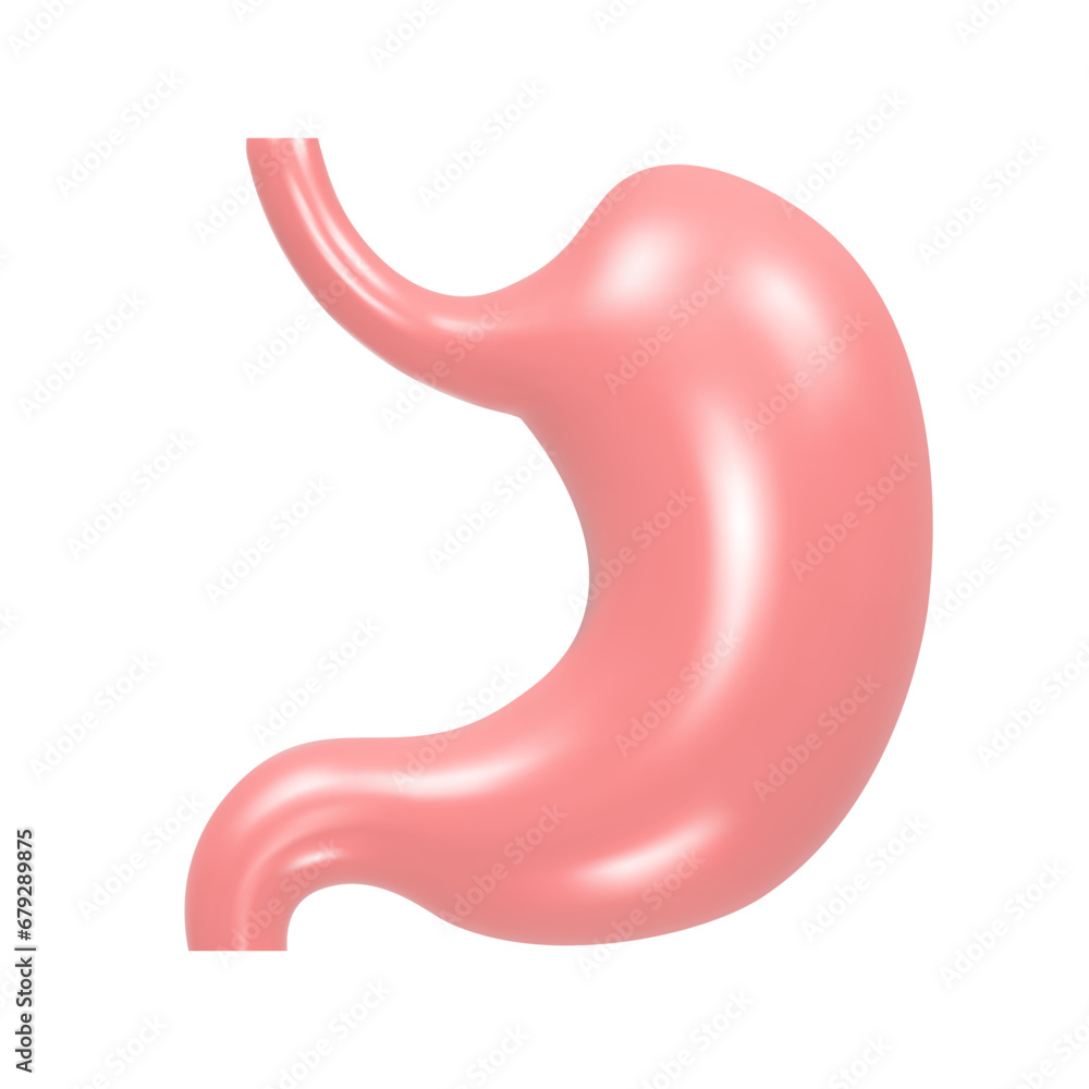 3d stomach organ on white background. Realistic vector Illustration. 3d stomach organ on white background. Realistic vector Illustration.