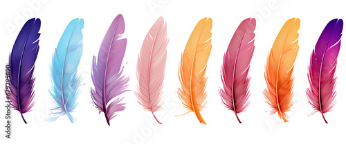Collection of colorful feathers on transparent background PNG
