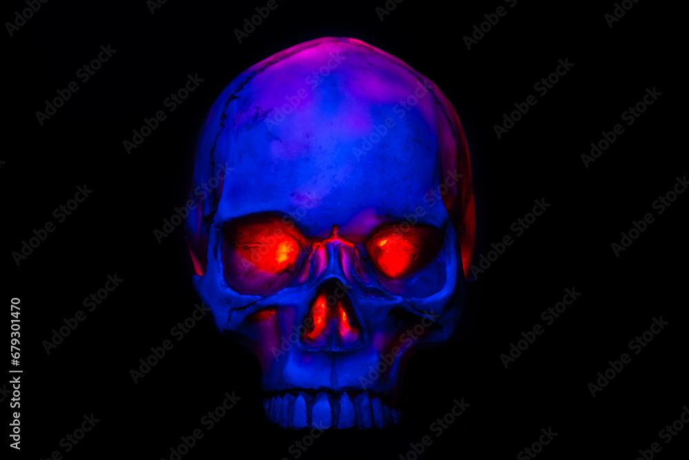 Human skull. Red-blue backlight on a black background