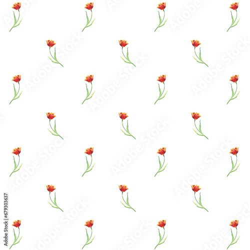 Watercolor red tulips seamless pattern. Hand drawn illustration with colorful spring flowers for textile design or wrapping paper. Texture for print on isolated background. Floral print for wallpaper