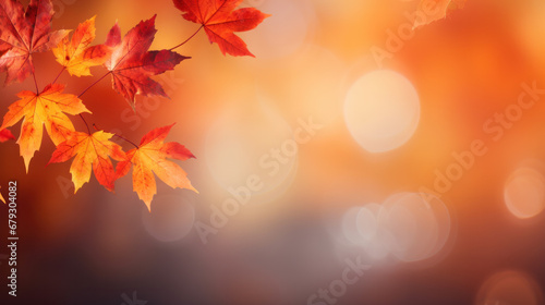 Autumn background with shadow of the maple tree leaves on a wall. Abstract Autumnal scene.