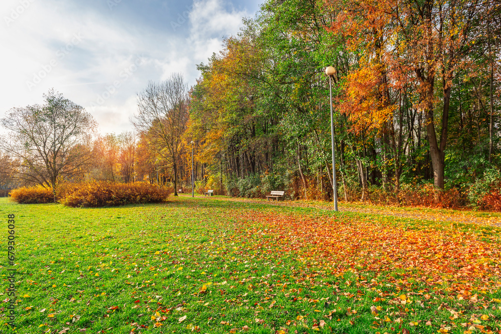 Naklejka premium Benches in autumn park