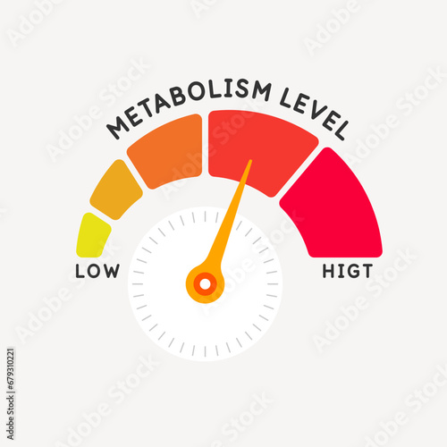 A scale for measuring the level of metabolism. Measurements of the body's metabolism. The indicator shows the level.