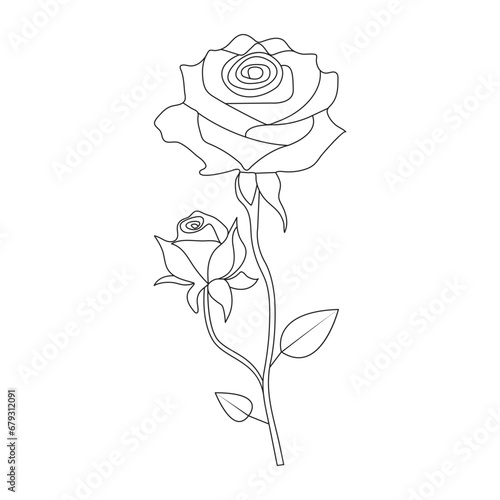 Vector hand drawn illustration continuous rose flower one line art 