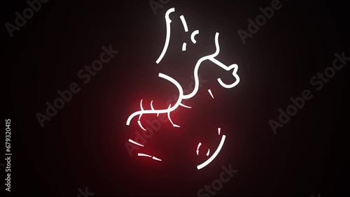 Colorful neon line Human organ heart icon isolated on black background. Neon medical animation - Liver. Motion graphic animation 4k photo