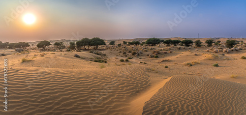 View during sunrise at great thar desert in Jaisalmer, Rajasthan, India. photo