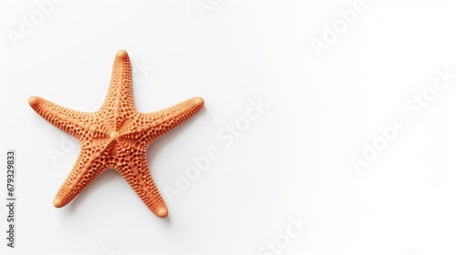 starfish on a white background with space for text.