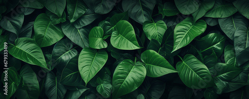 Wallpaper Mural Nature leaves, green tropical forest background. ai generative Torontodigital.ca