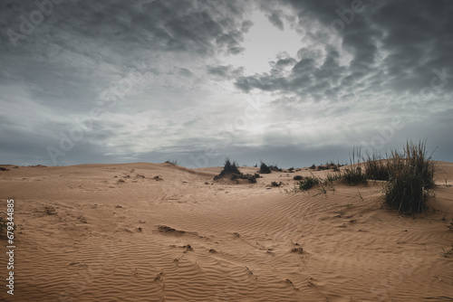 Scenic view of desert against sky
