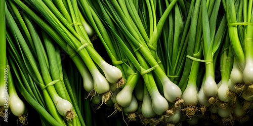 Fresh green spring onion vegetables, closeup macro detail from above. Generative AI