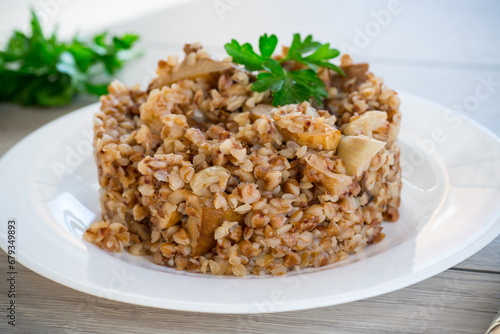 Canvastavla cooked buckwheat boiled with mushroom filling in a plate