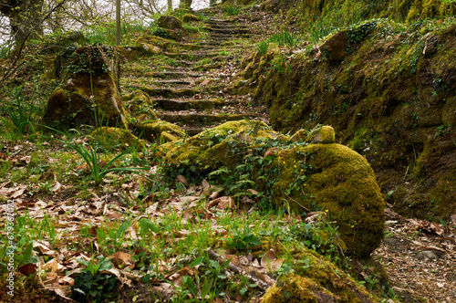 Ancient stairs in the forest. Santo Estevo de Rivas de Sil. Ourense, Spain